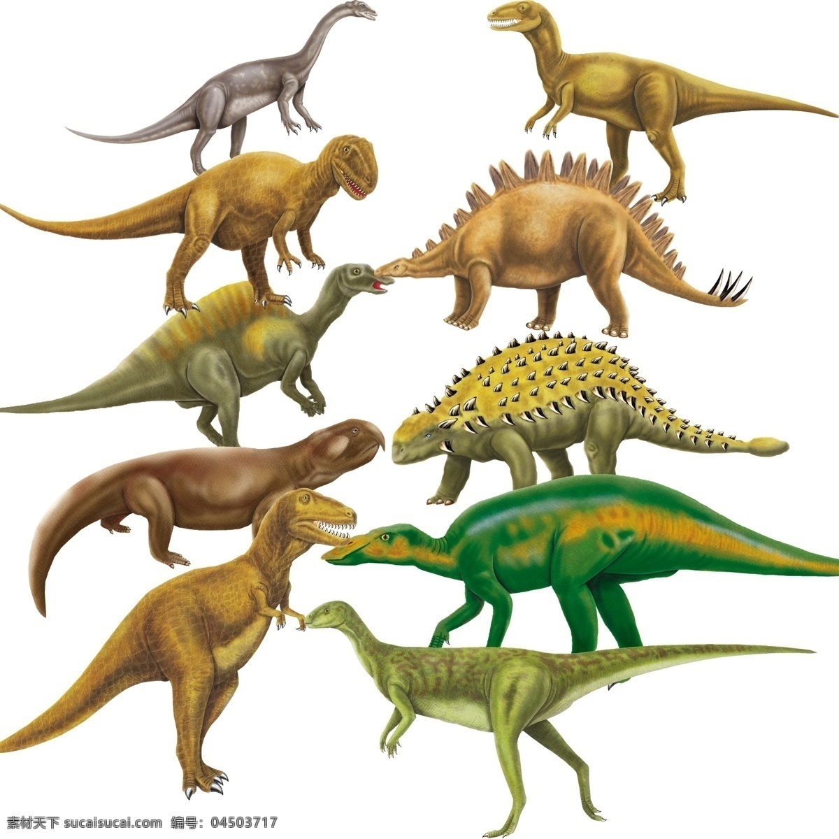 分层 恐龙素材 源文件 恐龙 原创 模板下载 恐龙原创素材 有图层 300象素 电脑绘图 插画材料图 插画集