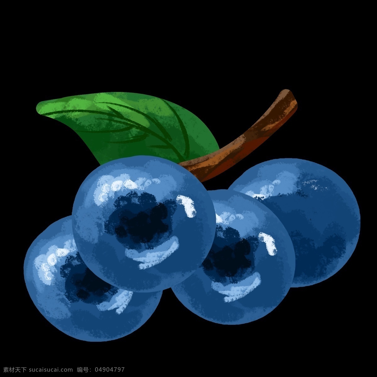 油画 风格 两 只 蓝莓 水果 一个 大蓝莓 独立枝头 紫色 漂亮 文件 两个 香甜 酸酸的 装饰 贴画 免扣