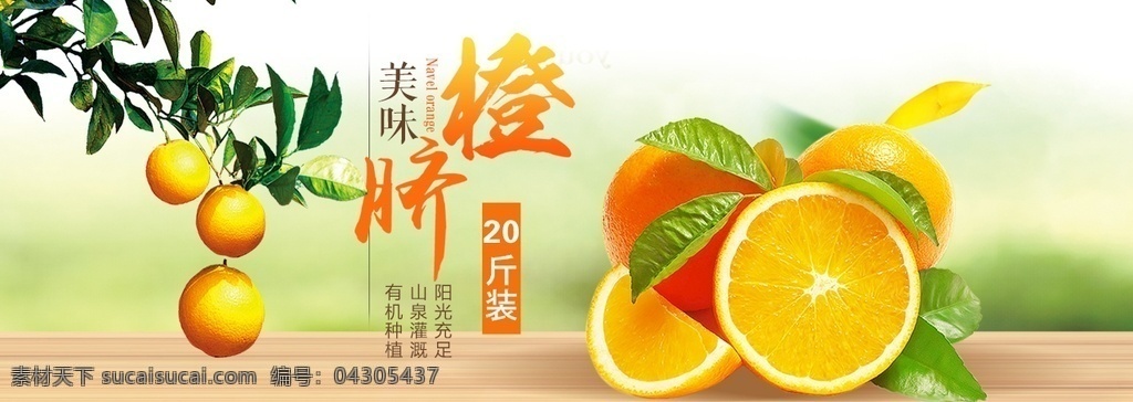 banner 橙子 脐橙 海报 轮播图 赣州脐橙 淘宝界面设计 淘宝 广告