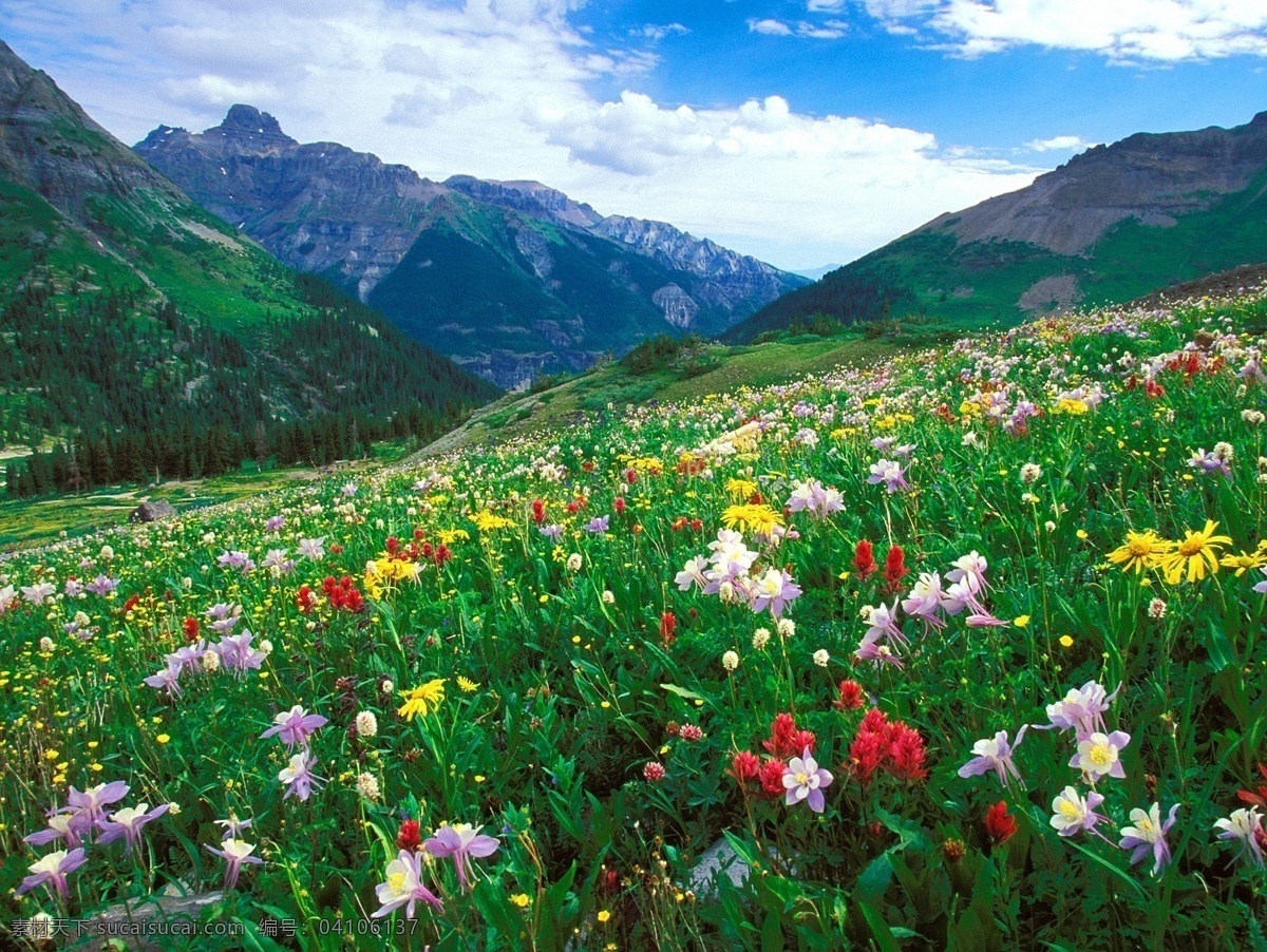 自然风景图片 湖泊 山脉 树林 优美 小屋 花海 白花 蓝天 白云 红花 自然风景 自然景观