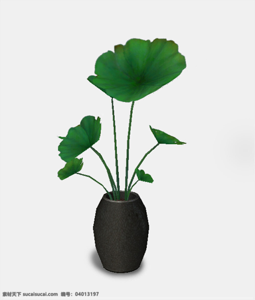 通用 室内 盆栽 3d 模型 装饰装修 景观素材 植物花卉 3d模型