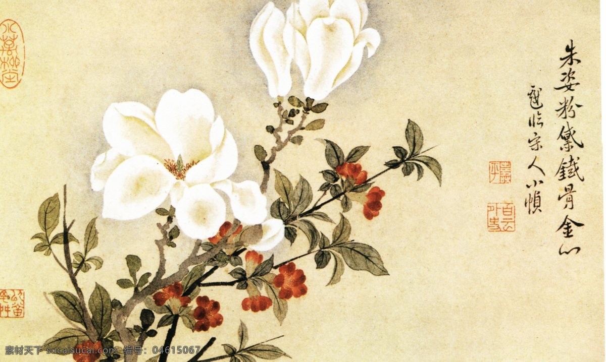 中国画 传统文化 玉兰花 书法 绘画 国画 国画艺术 中国风 文化画 水墨画 水墨 绘画书法 文化艺术