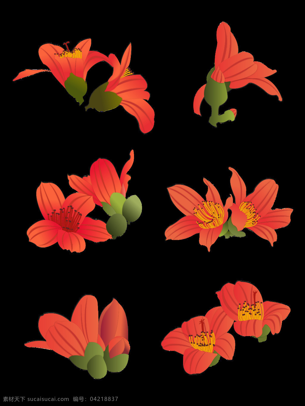 手绘 木棉花 元素 卡通 红色 植物 花 套 图 元素设计