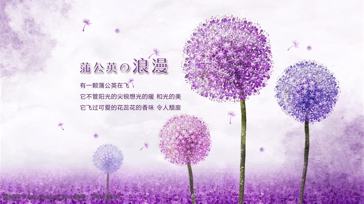 紫色蒲公英 紫色 蒲公英 壁纸 恋爱 梦幻紫 花朵 花纹