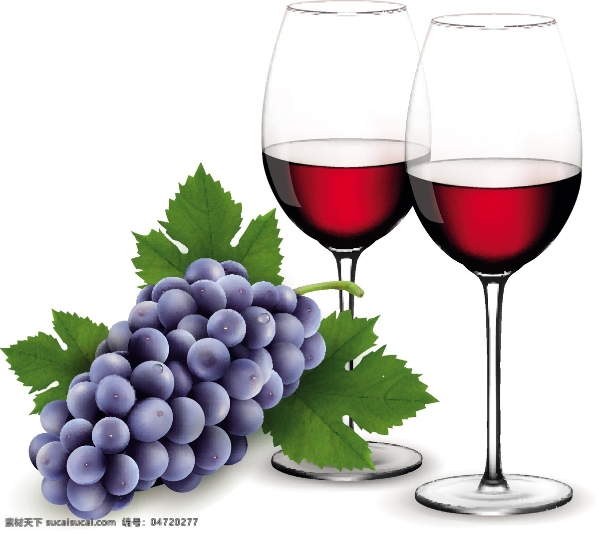 紫 葡萄 葡萄酒 向量 酒 矢量食物 紫色 矢量图 日常生活