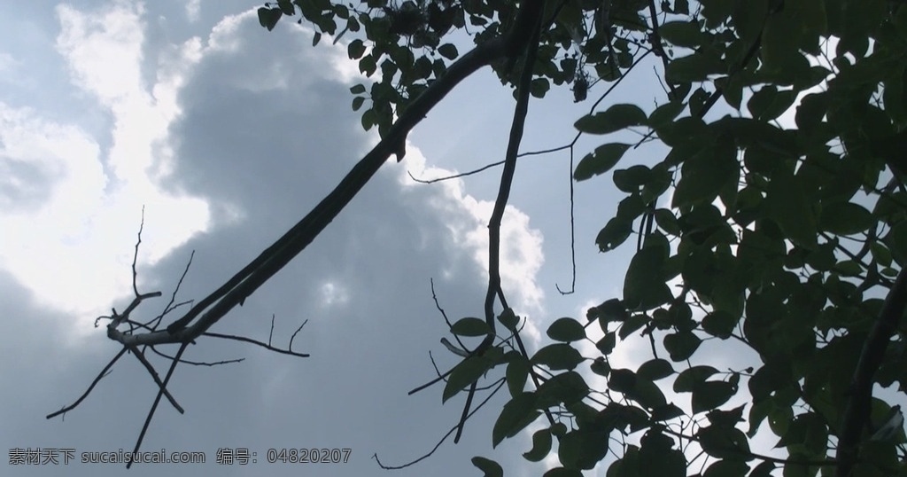 树叶蓝天 树叶 蓝天 微风 绿叶 生态 天空 尉蓝 树技 树头 技叶 暖风 植物 白云 太阳 阳光 光束 光线 多媒体 实拍视频 自然风光 mov