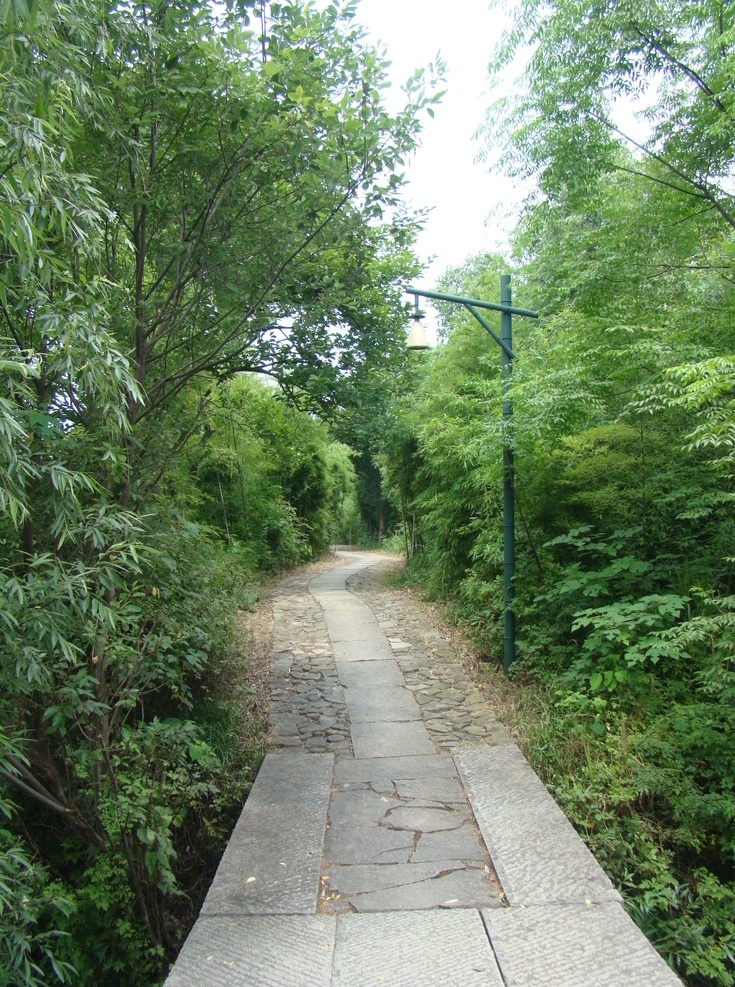 石板小径 河道 绿色植物 建筑 通道 桥梁 通途 乡村小桥 休闲旅游 原始 人行桥 健康 散步 公园 小路 石板路 林间小道 小径曲径 竹林 户外 竹林小径 自然景观 田园风光
