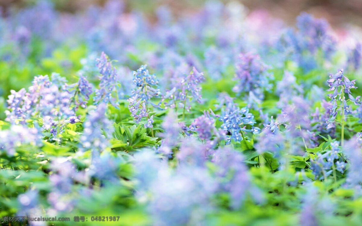 自然风景 春天背景图 花卉 麋鹿 蝴蝶 大海报 广告图 简约 清新 卡通 背景 海报 大气 唯美 漂亮 蓝色 黄色 橘色 浅色系 科技 家庭 聚会 植物 温馨 小清新 云朵 树 花草 矢量背景 浪漫 温馨海报 绿色海报 植物花卉 花圃园艺 湖水 水面 山脉摄影 山丘 沙滩 高山 岩石 自然景观