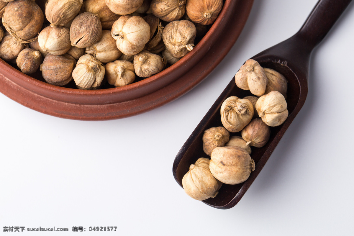 多骨 壳蔻 白蔻 百叩 叩仁 中药 中药材 药材 食物 食材 食物原料 中药白豆蔻 餐饮美食