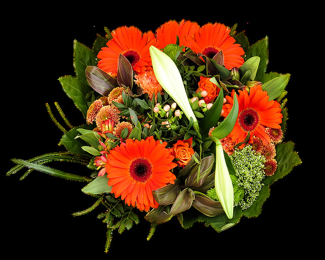 明亮 鲜艳 橙色 花朵 花束 实物 元素 百合花 橙色花朵 花枝 实物元素 装扮
