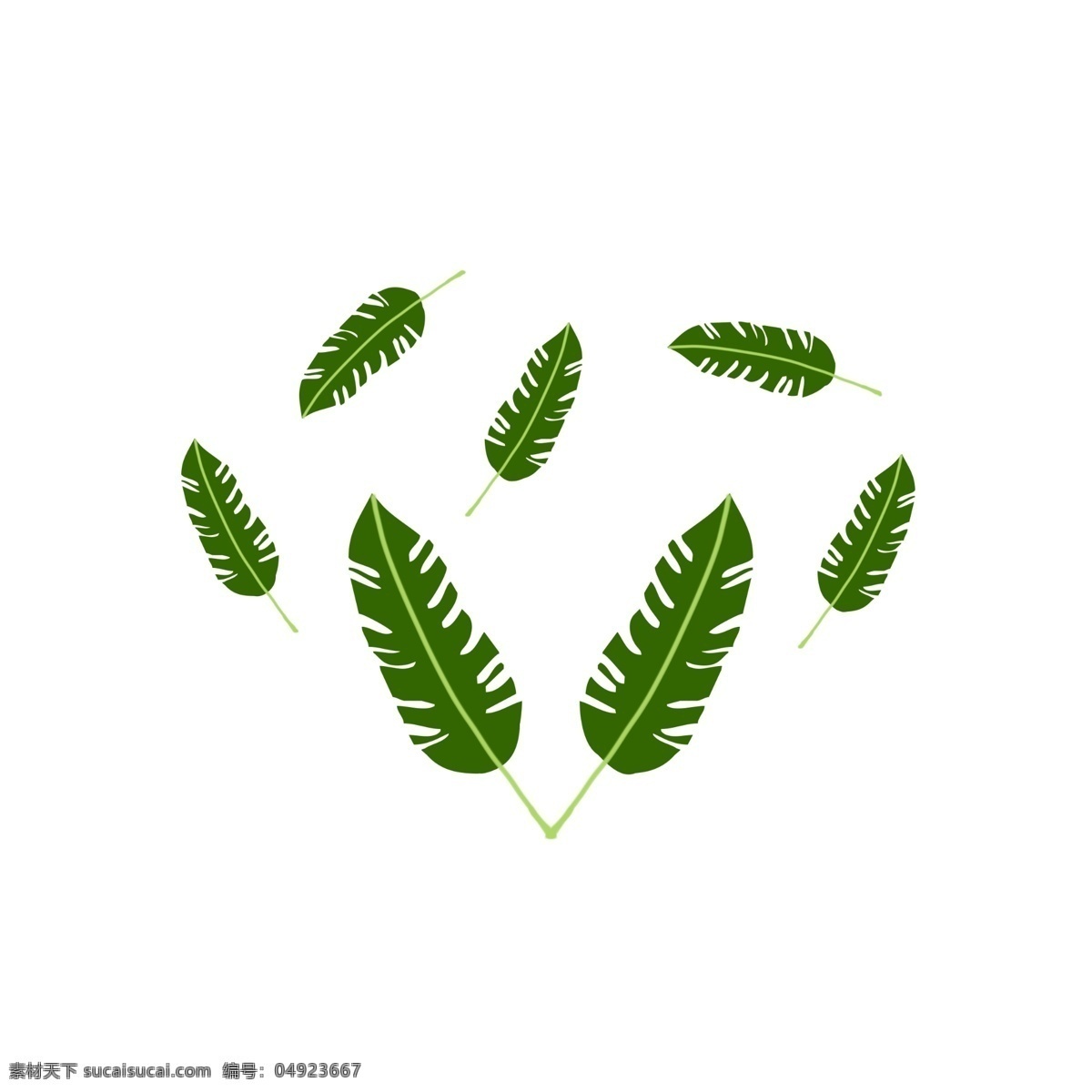 多个 芭蕉叶 插画 绿色植物 多片树叶 绿色的芭蕉叶 创意大叶子 树枝树叶插画 飘落的树叶
