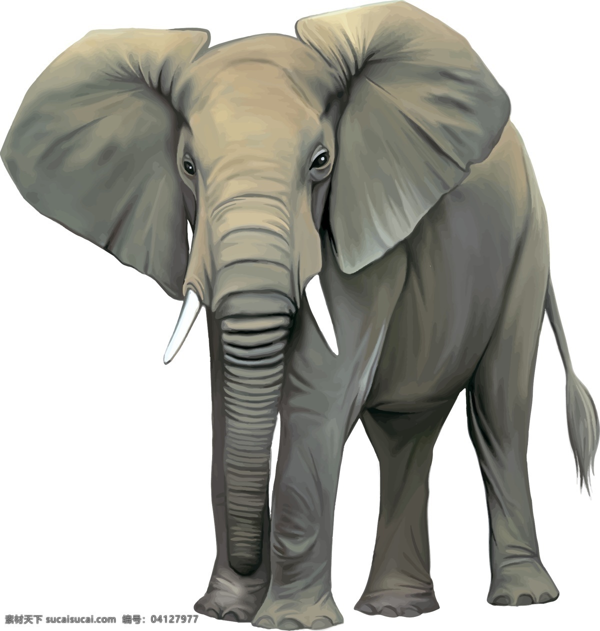 象 大象 大象标志 灰色大象 大笨象 矢量大象 卡通大象 大象卡通画 大象素材 卡通动物 动物元素 手绘大象 大象插画 动物图案 动物图标 大象图标 黑色大象图标 象鼻 动物 生物世界 野生动物