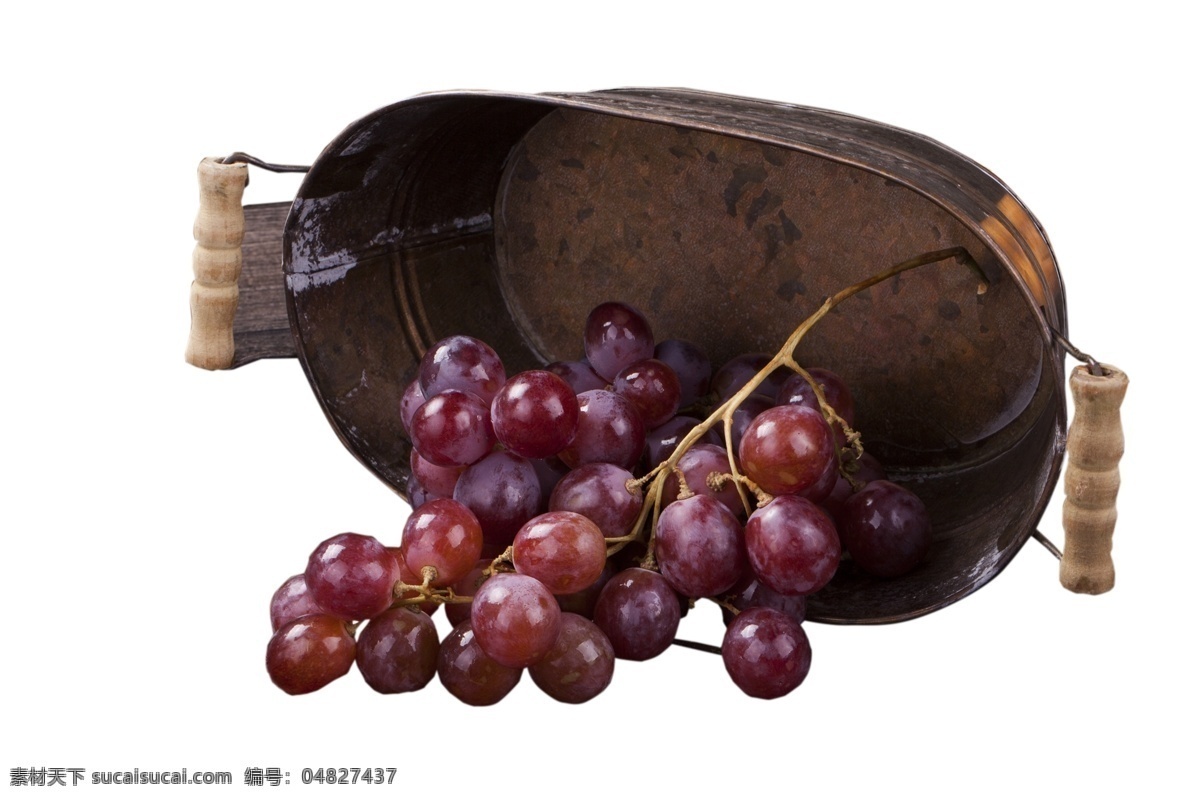 夏天 水果 红提 好吃 夏黑葡萄 巨峰葡萄 葡萄基地 紫葡萄 葡萄园 葡萄架 夏黑 提子 果园 葡萄