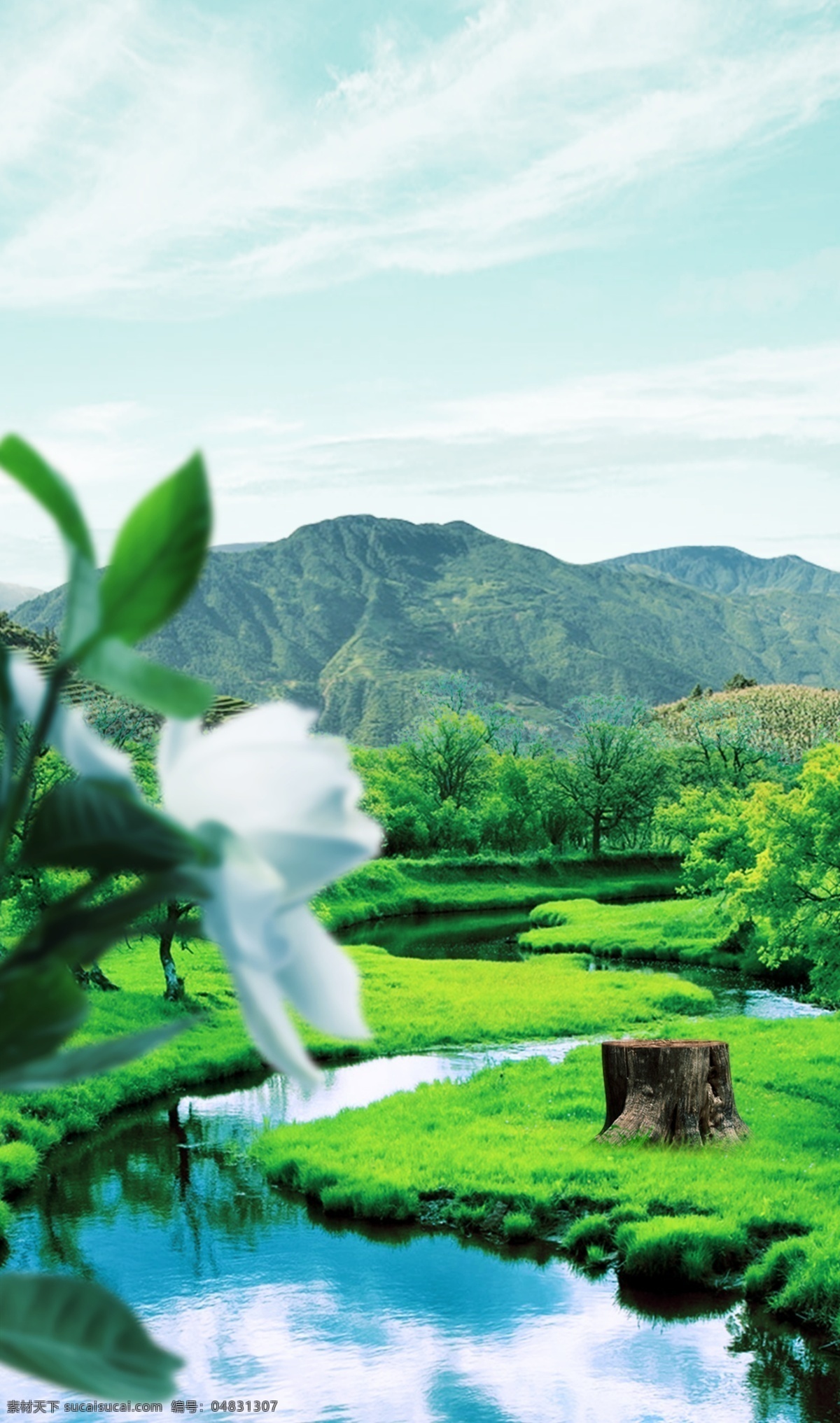 青山绿水 河流 草地 自然 背景 白花 蓝天 白云 倒影 青山 绿水 小河 树墩 树 自然环境 植物 绿植