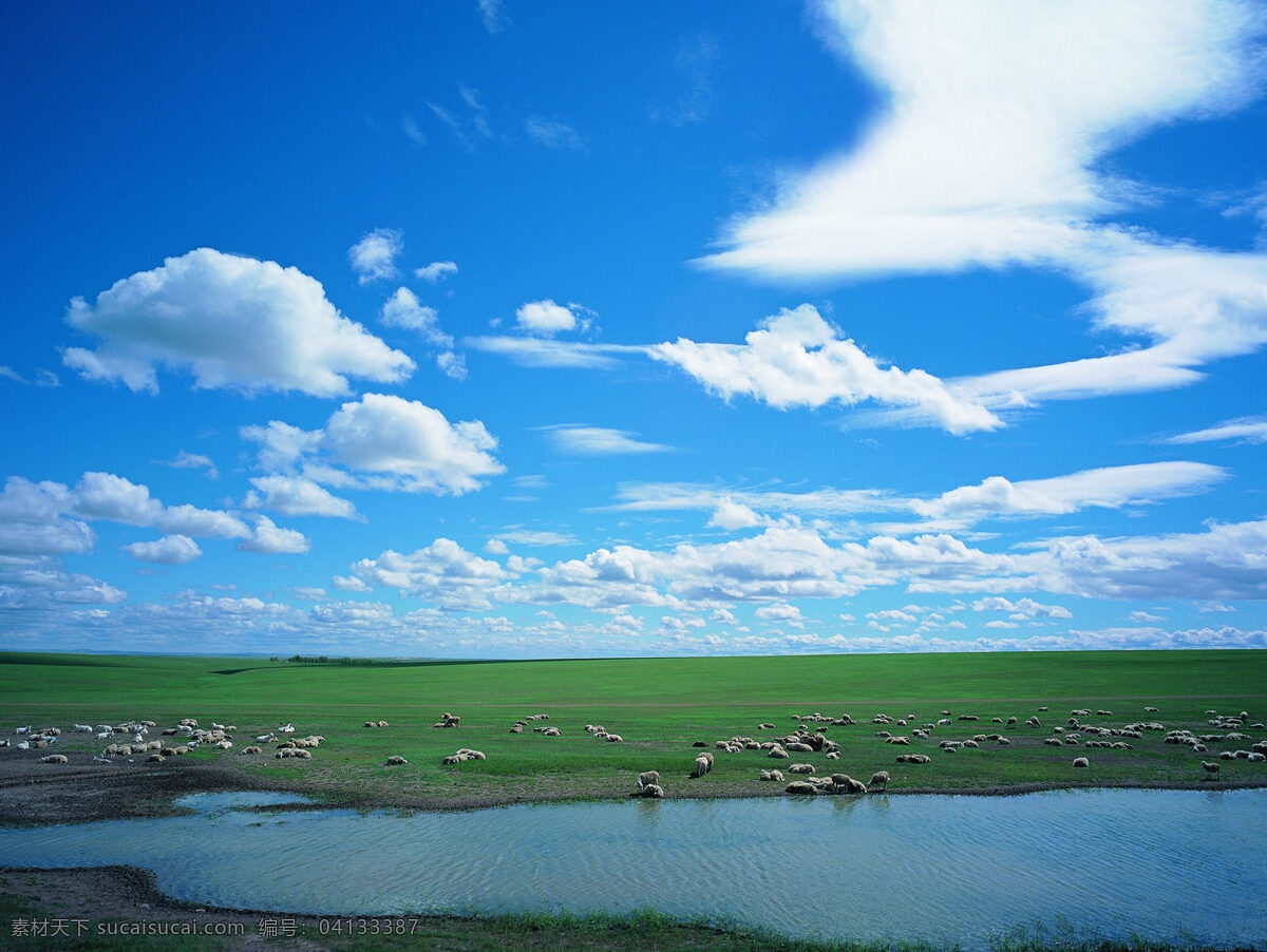美丽的大草原 草原 小草 天空 白云 蔚蓝的天空 蔚蓝 羊 湖泊 水 阳光 照耀 自然风景 自然景观