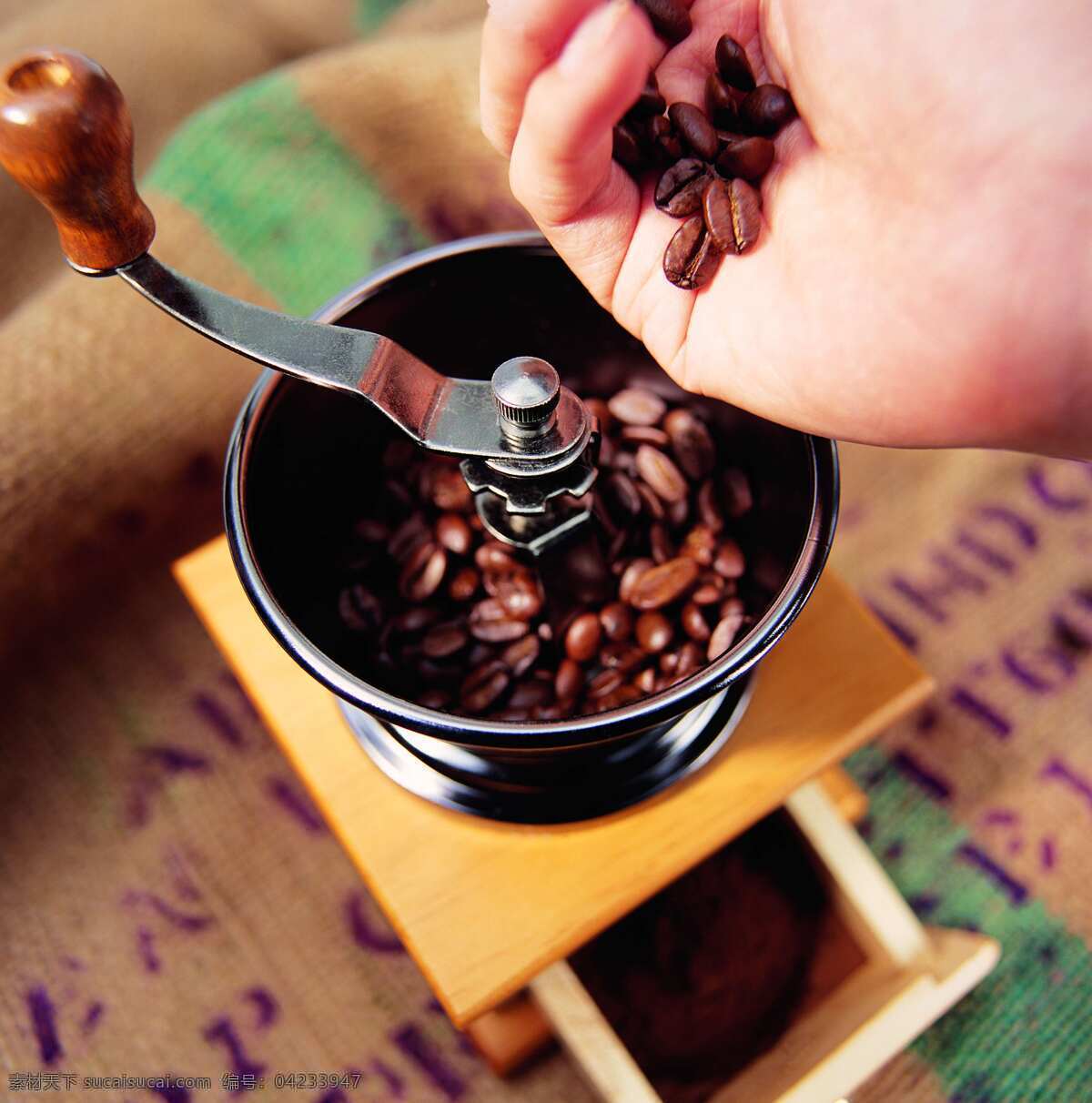 手工 咖啡 研磨 过程 添加 咖啡豆 咖啡种子 成熟的咖啡 研磨机 咖啡制作流程 风景 生活 旅游餐饮