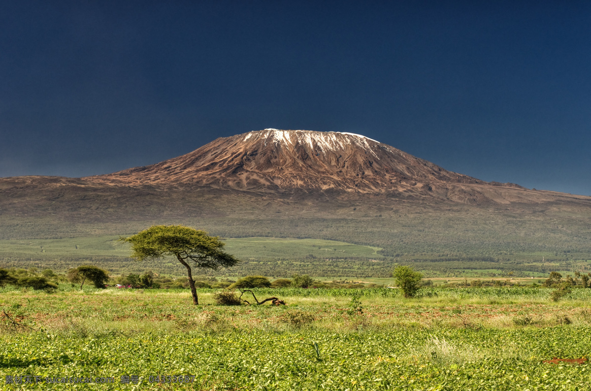 非洲雪山风景 非洲草原风景 雪山美景 山峰美景 平原风景 美丽非洲风景 风景摄影 美景 景色 自然风景 自然景观 黄色