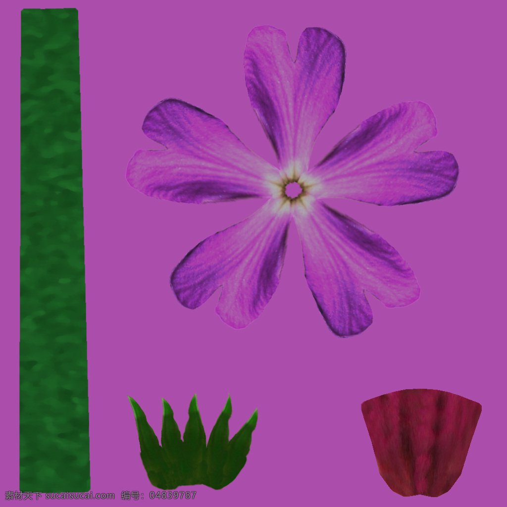sieboldii primula 樱草免费下载 植物模型 樱草 花卉草 3d模型素材 动植物模型