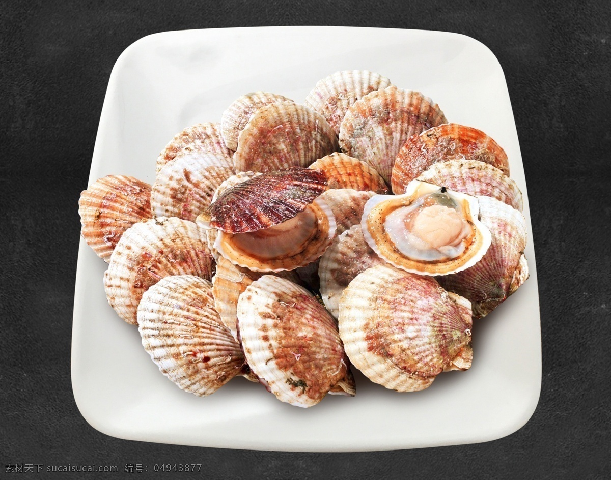 扇贝 海鲜 元贝 美食 食材 新鲜食材 贝类 菜单菜谱