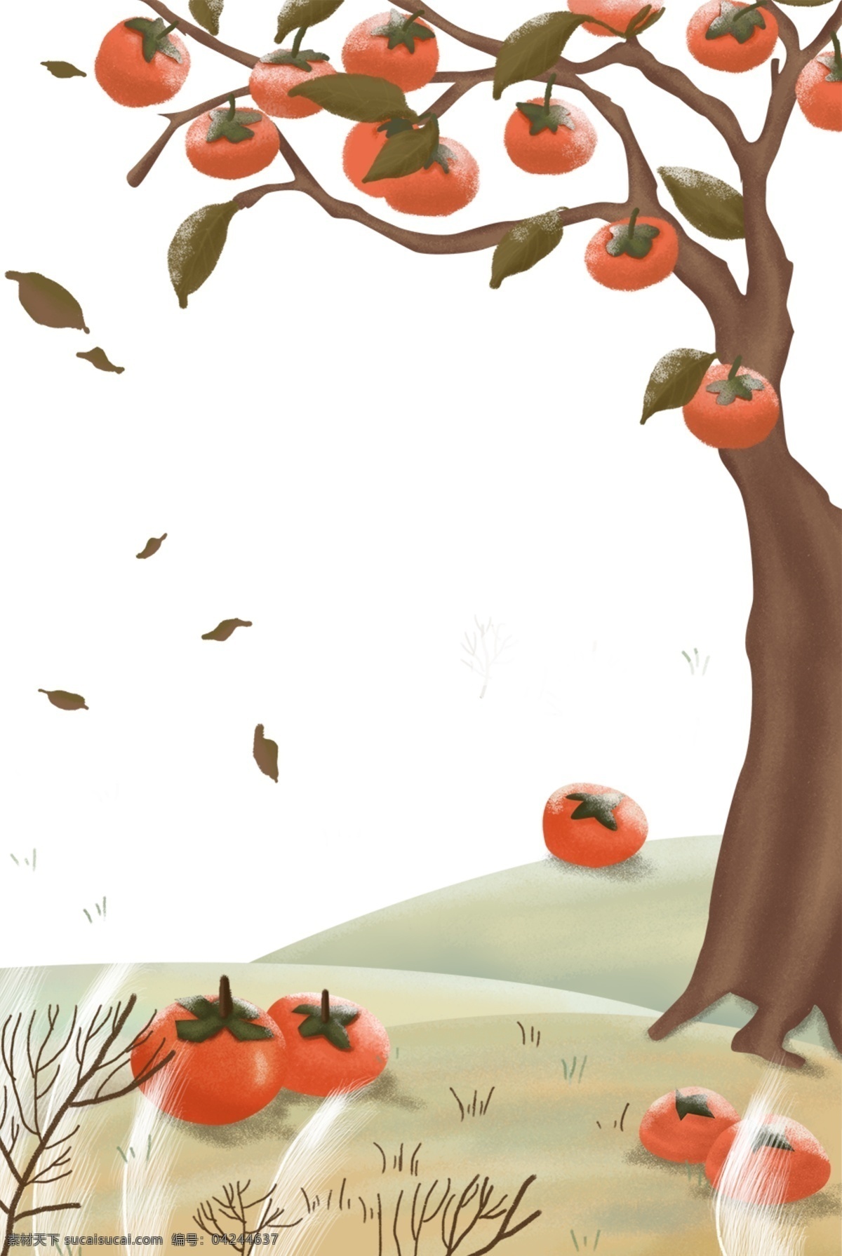 秋季 柿子 主题 边框 卡通 手绘 精美 插画 海报插画 广告插画 小清新 简约风 装饰图案 柿子主题边框