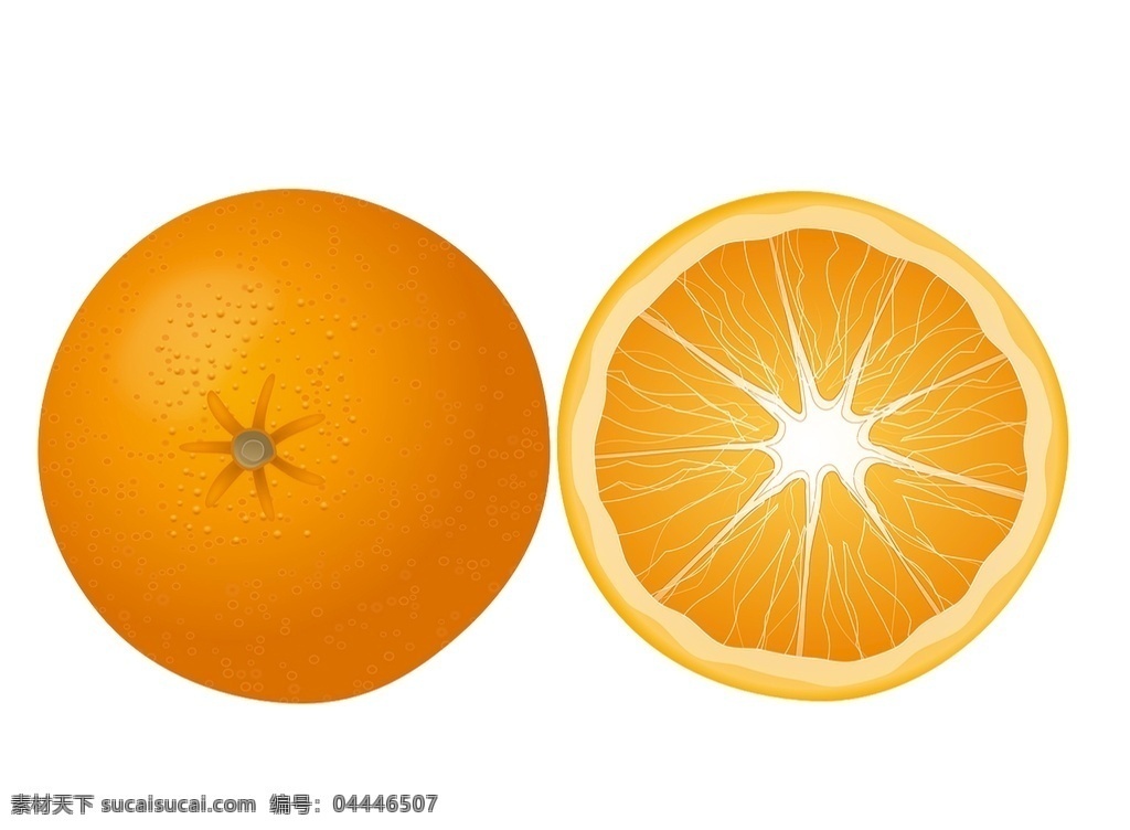 柑橘果实 水果 食品 酸性 一半 新鲜 健康 自然 卡通设计