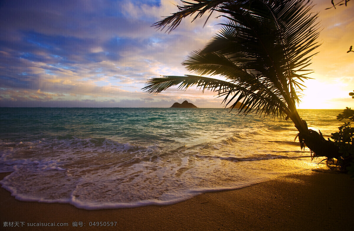 夕阳下的大海 夕阳 大海 海浪 沙滩 椰树 自然风景 自然景观 黑色