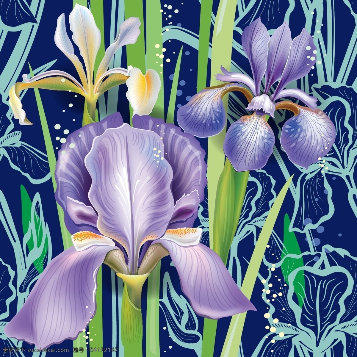 紫色兰花背景 底纹 紫色 植物 兰花 背景