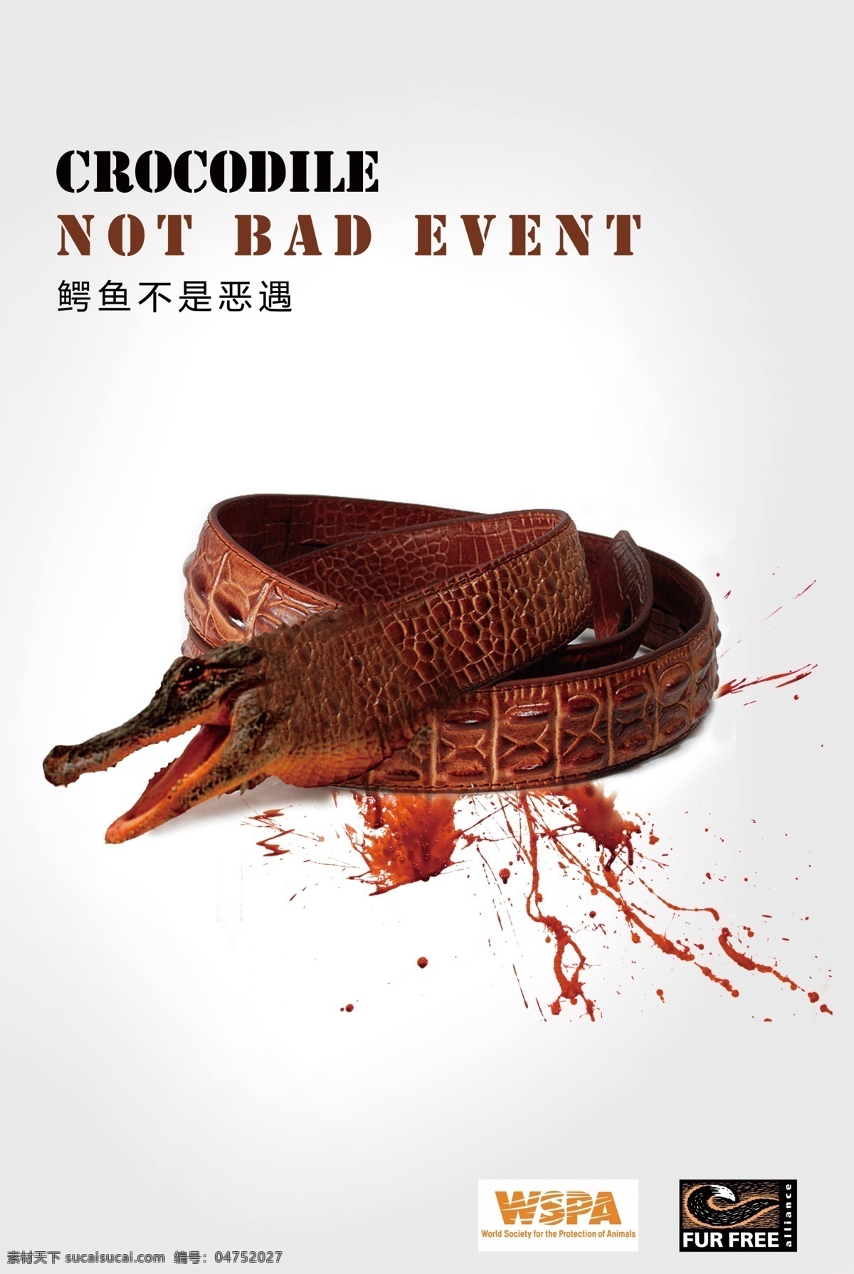 保护鳄鱼 鳄鱼 皮带 血 保护 鳄鱼头 广告设计模板 源文件