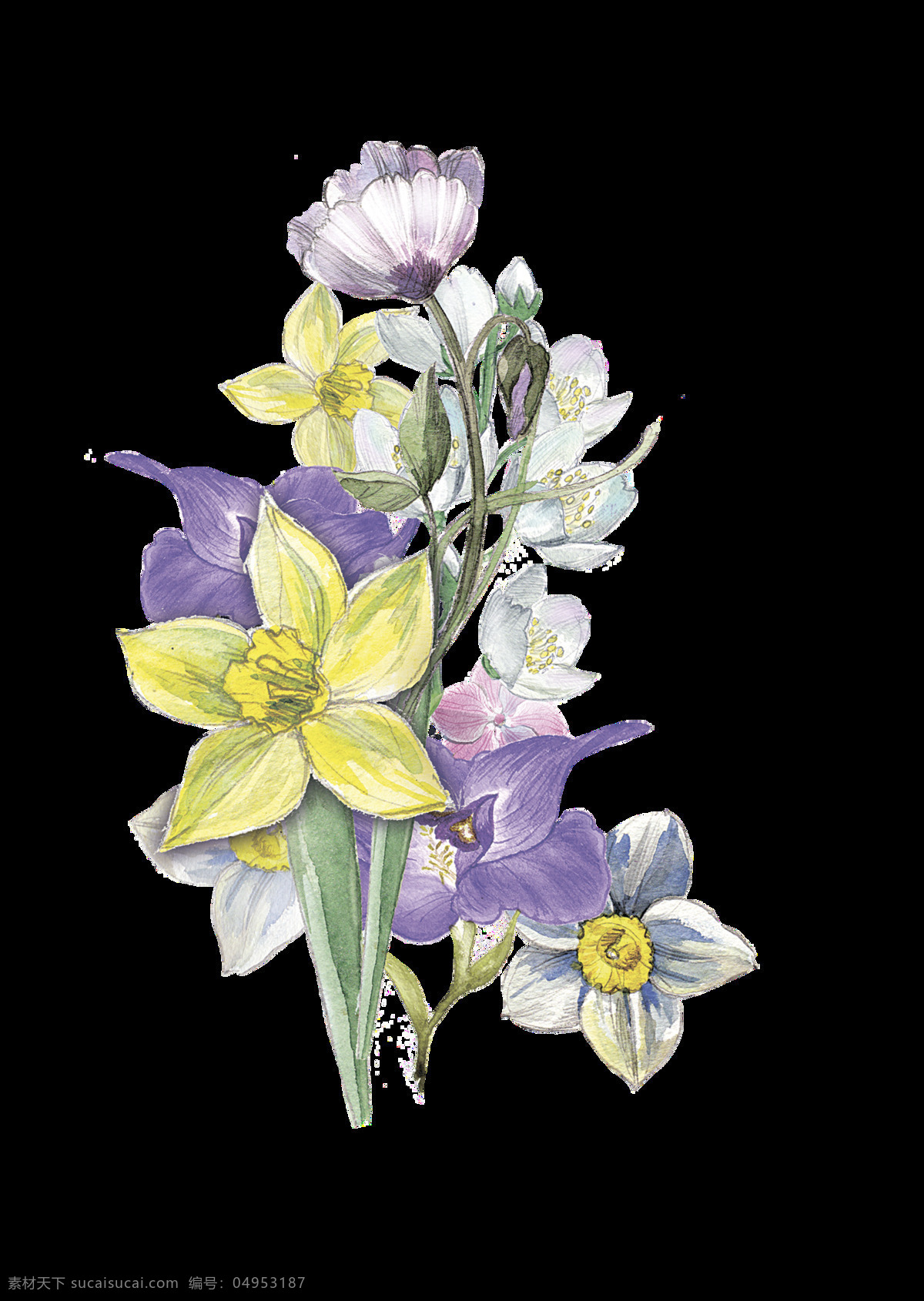 黄 紫 花丛 透明 装饰 花朵 紫色 矢量素材 设计素材 平面素材