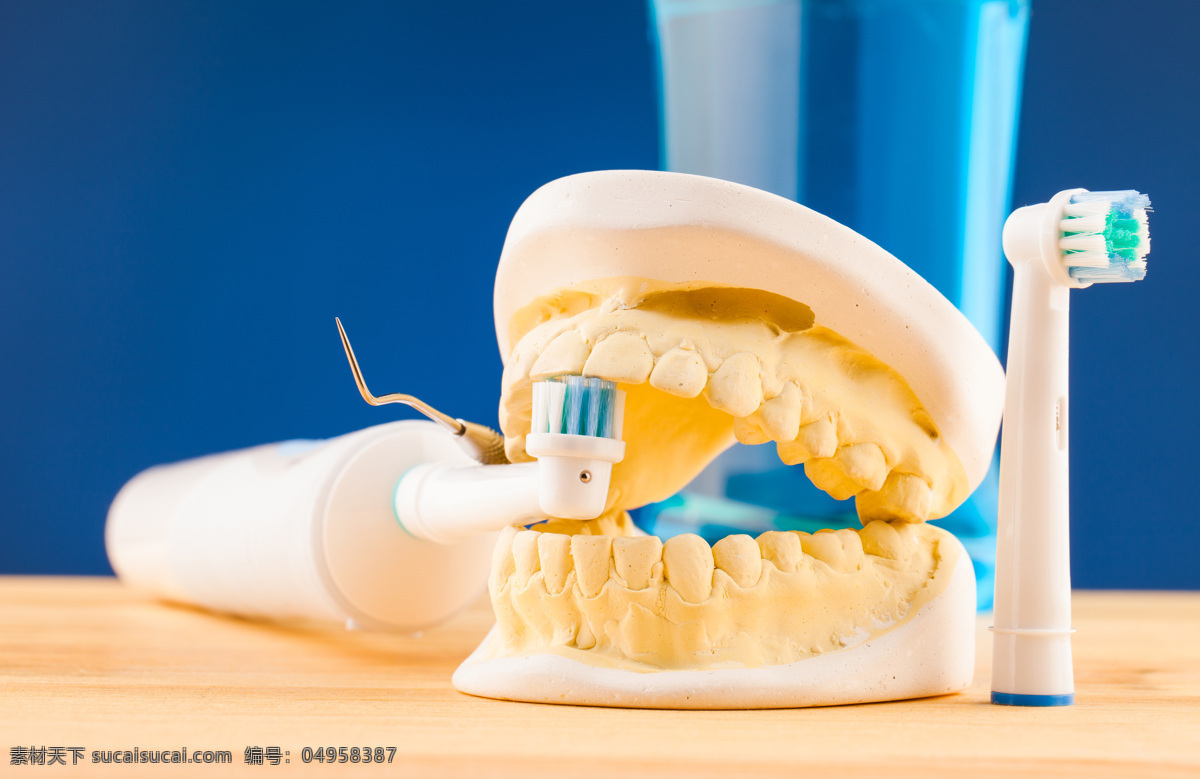 牙齿 模型 牙刷 牙齿模型 牙科 牙龈 牙科研究 医疗护理 现代科技