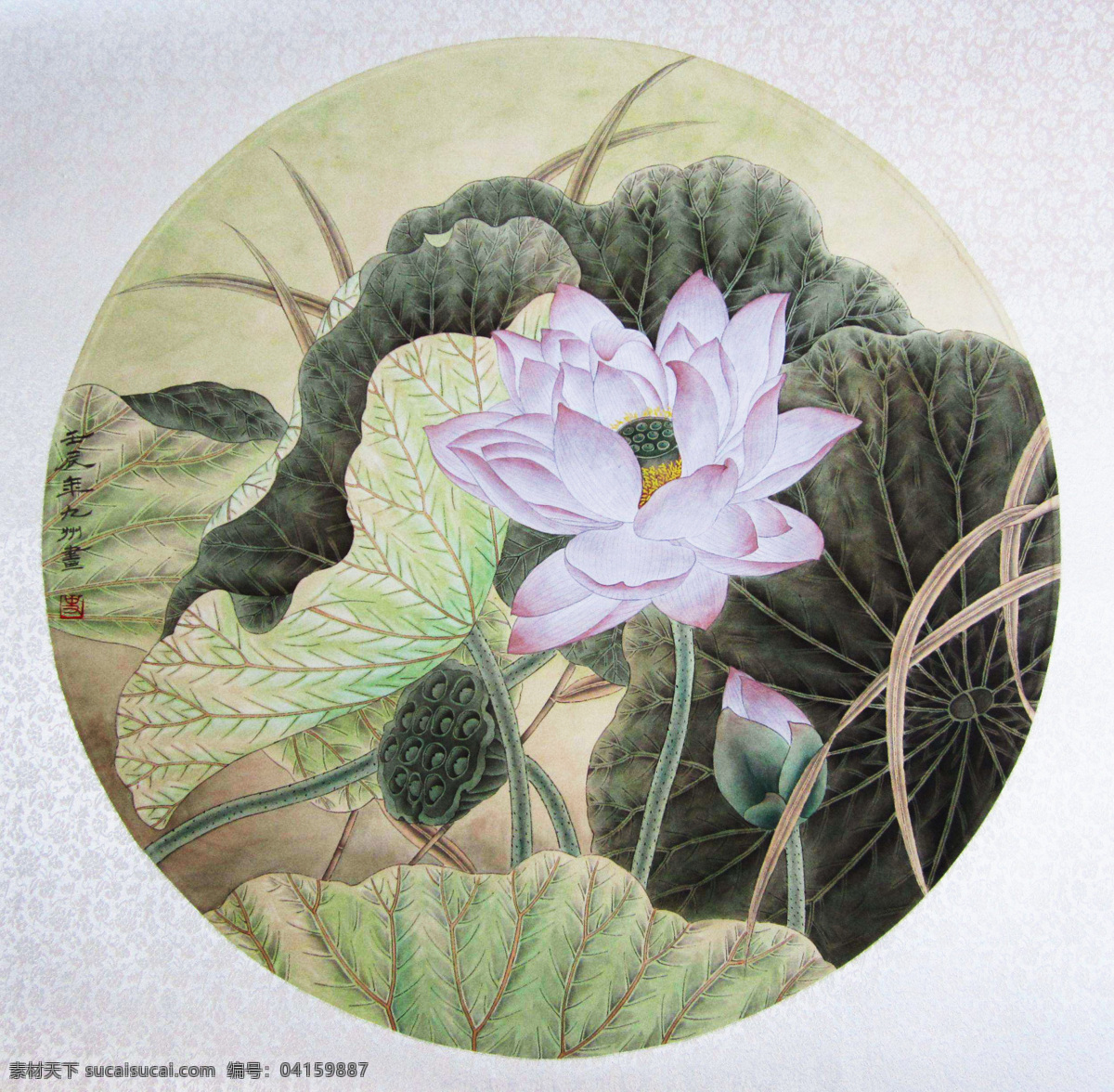 花鸟扇面 国画 花鸟 工笔国画 花鸟画 国画花鸟 艺术绘画 文化艺术 绘画书法