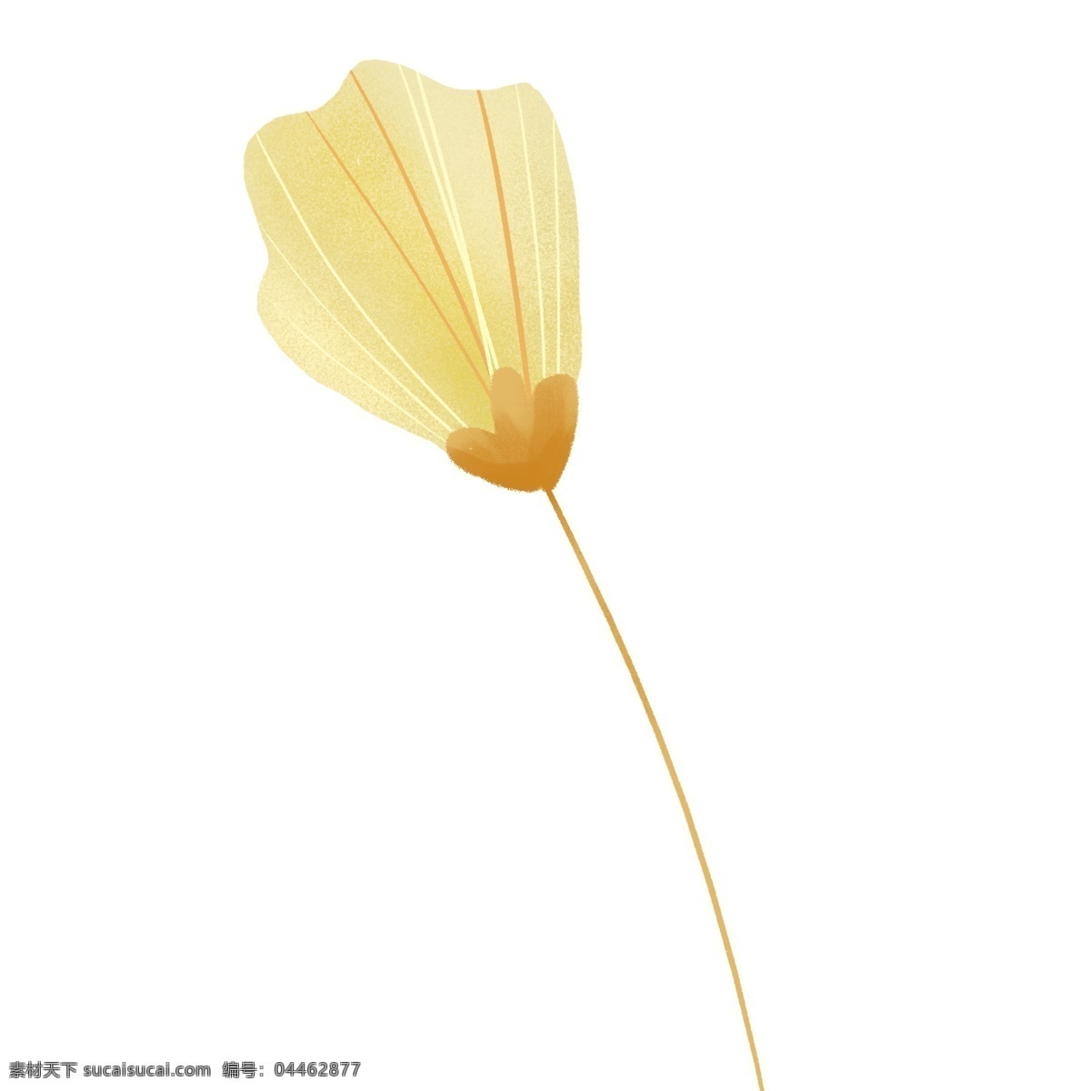 黄色 简约 植物 花朵 绘画 插画元素 设计元素 卡通 彩色 小清新 精致