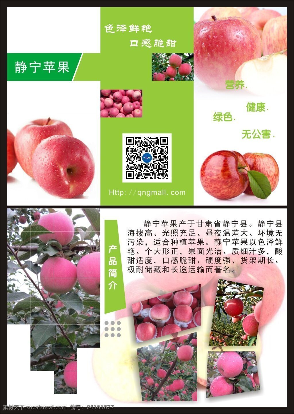 苹果宣传页 静宁 苹果 展示 宣传 营养 绿色 原产地
