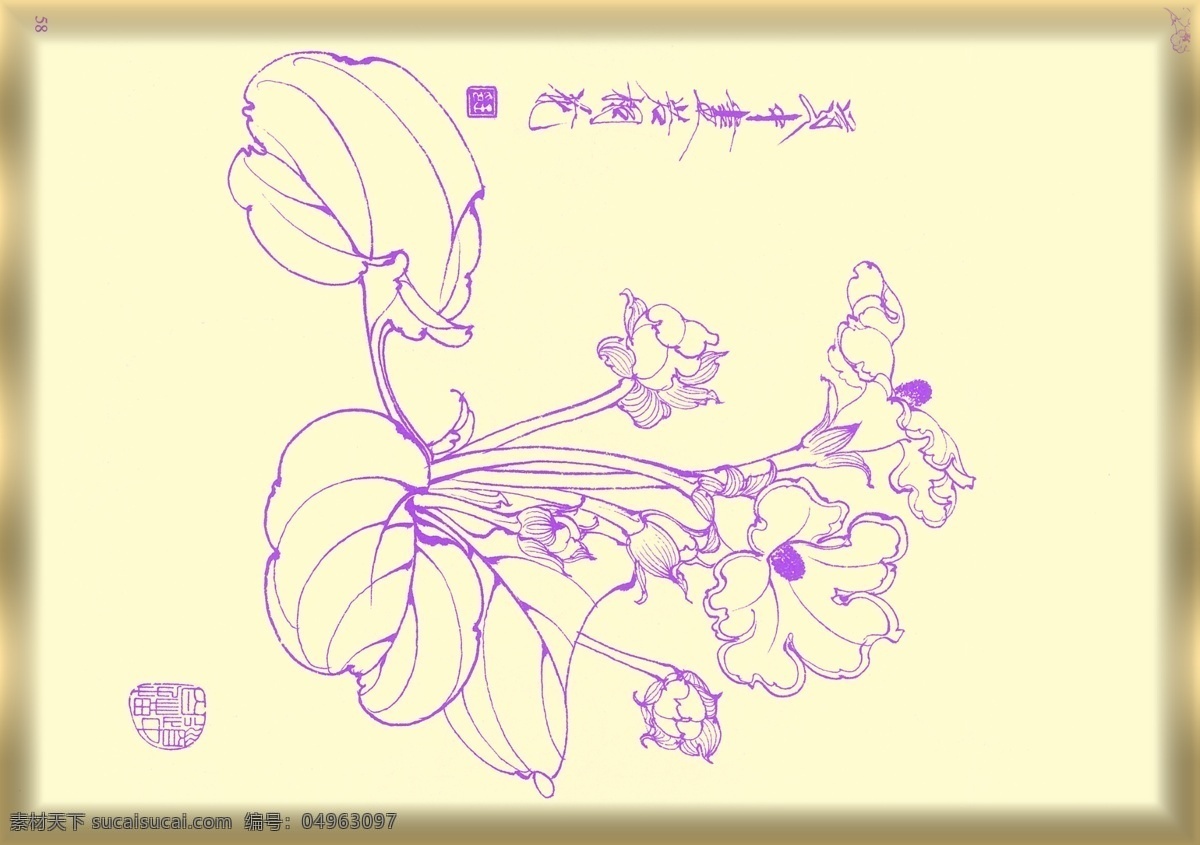 白描花卉 植物 花卉 白描 生物世界 矢量 线描 线画 线稿 中国画 国画 花草 文化艺术 绘画书法