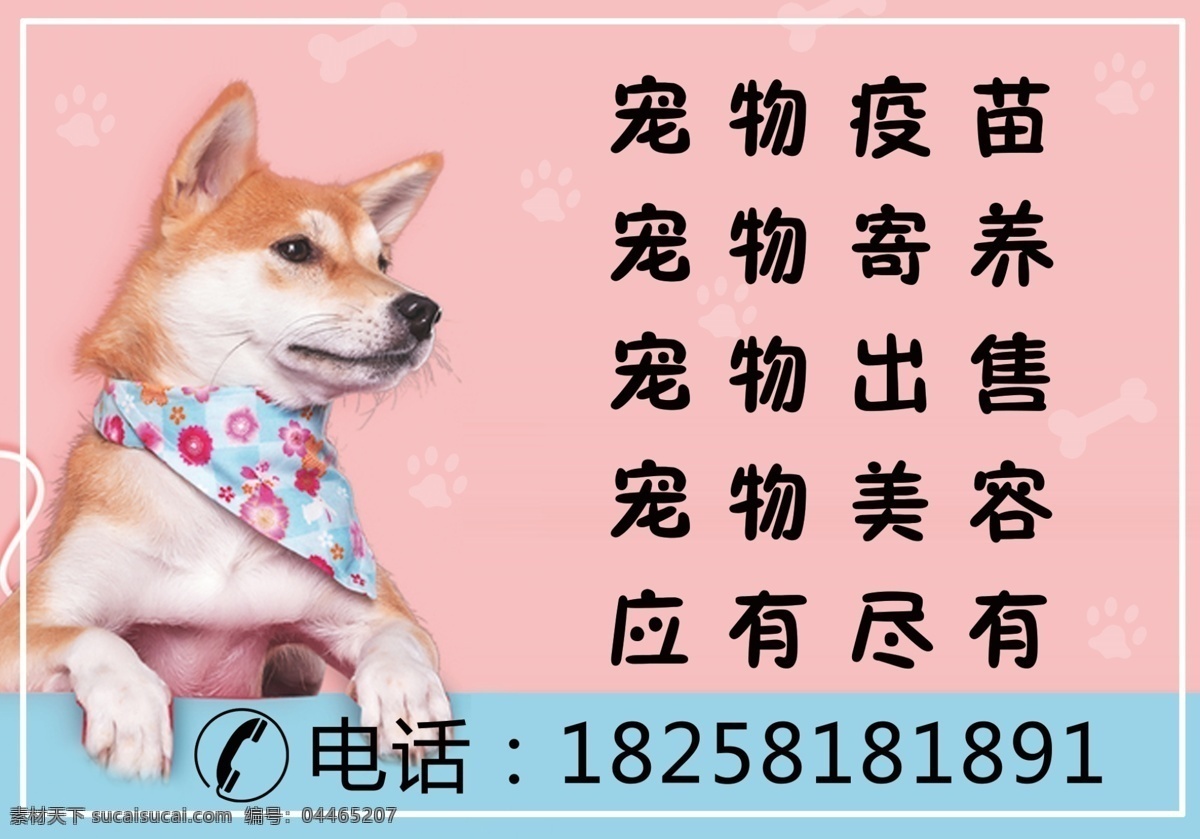 宠物海报 服务项目柴犬 寄样 出售 美容