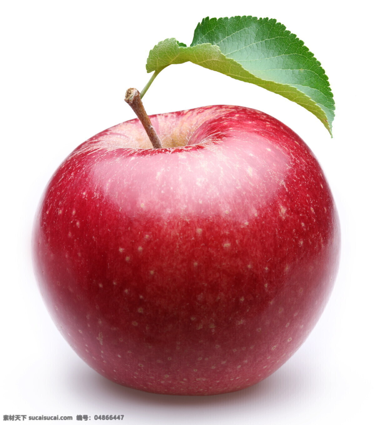 长 叶子 红苹果 长着叶子 绿叶 水果 苹果图片 餐饮美食