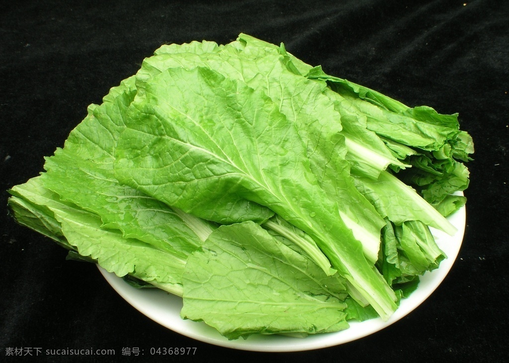 小白菜 白菜叶 鲍菜 卷心菜 青菜 蔬菜 菜叶 绿色蔬菜 有机蔬菜 餐饮 餐饮美食 传统美食