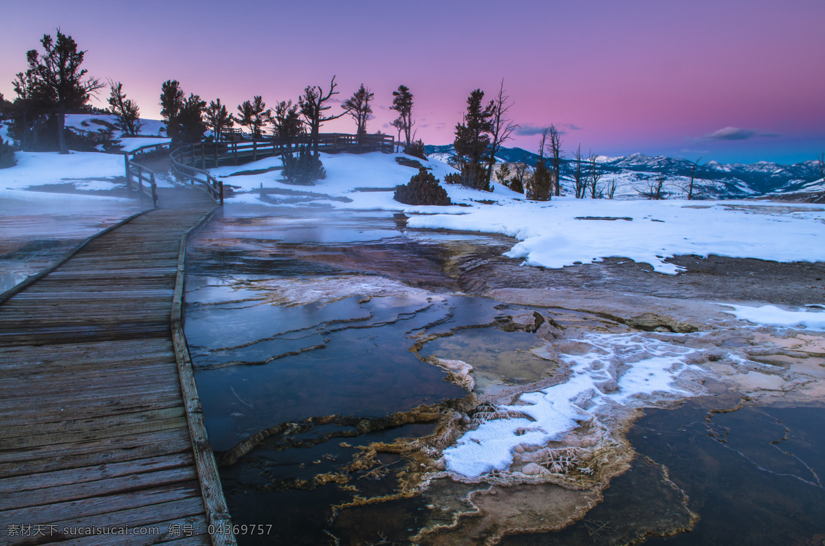 树木 雪景 木板 树林雪景 冬天树林 木地板 木板背景 美丽风景 自然风景 自然景观 黑色