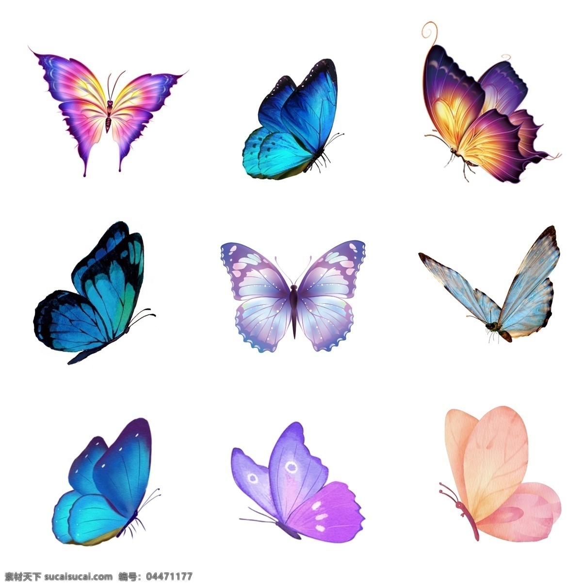 蝴蝶素材图片下载-素材编号04471177-素材天下图库