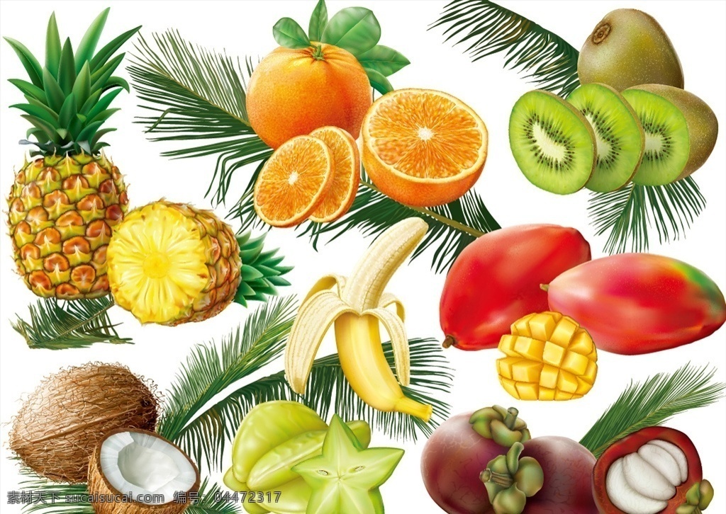 热带水果 集合 棕榈 矢量 菠萝 凤梨 橙子 山竹 香蕉 猕猴桃 椰子 切开 新鲜水果 水果集合 食物 食品 文化艺术 绘画书法