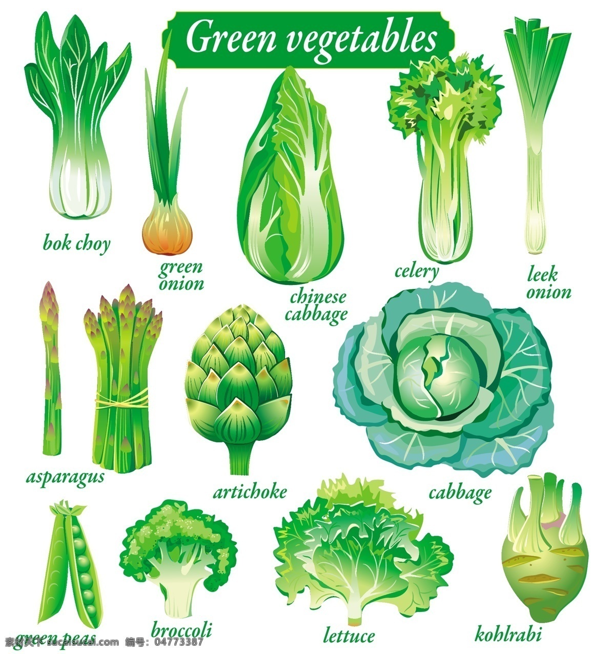 格式 蔬菜 矢量图 葱 莲蓬 新鲜蔬菜 蒜 日常生活