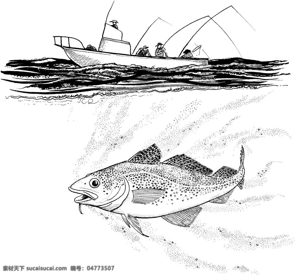 鱼 水中动物 动物素描 设计素材 动物专辑 素描速写 书画美术 白色