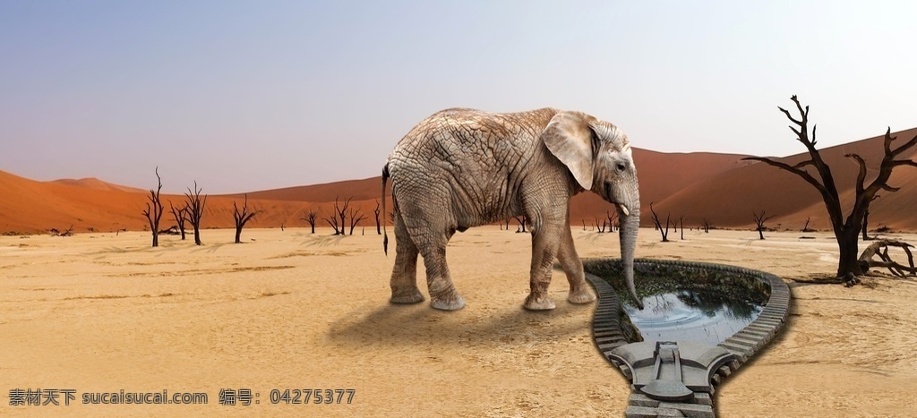 珍惜 水资源 创意 珍惜水资源 创意图片 寻水源的大象 大象 爱护水资源 公益