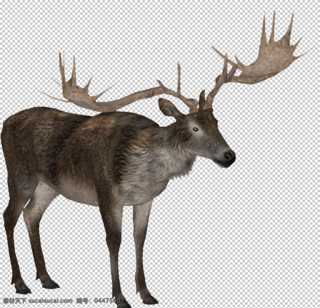 驯鹿图片 驯鹿 驼鹿 麋鹿 大角鹿 鹿 png图 透明图 免扣图 透明背景 透明底 抠图 生物世界 野生动物