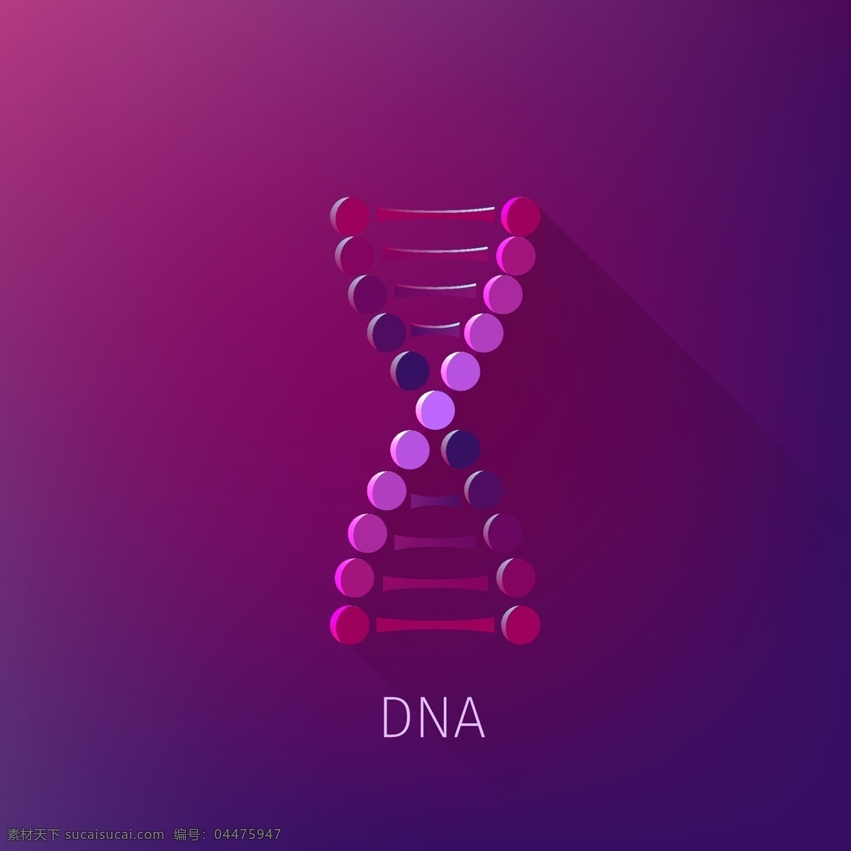 dna 科学 医学 生物 生物化学 生物学 技术细胞 化学 铬染 色体 克隆 代码 进化