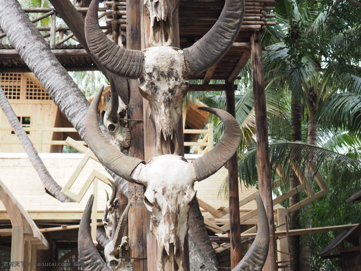 羊头骨 三亚 黎族 热带 少数民族 装饰品 三亚之旅 旅游摄影 国内旅游