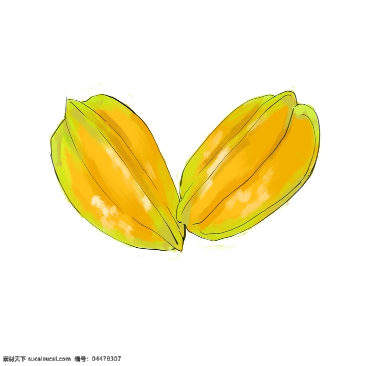 两个 黄桃 水果 插图 黄色