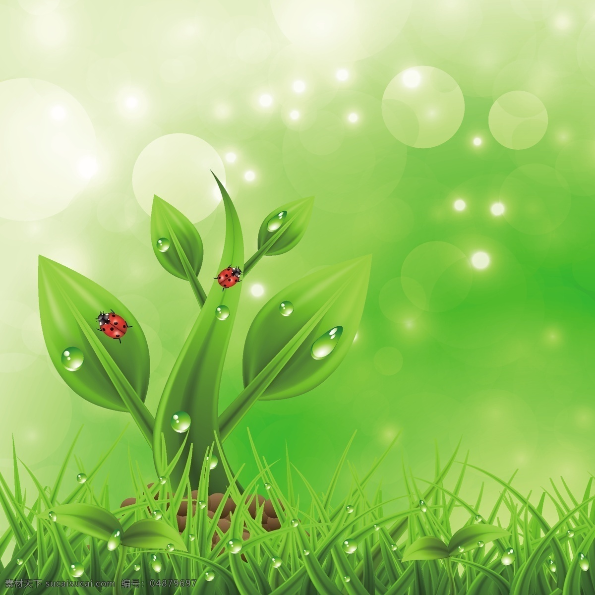 绿色 绿叶 梦幻 时尚 背景 绿叶水珠水滴 绿色环保 矢量 绿色环保背景 树叶 水珠 水滴 生态 环保