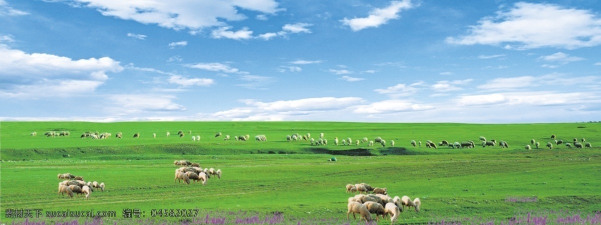 蒙古大草原 蒙古 草原 牛羊 天空 白云 背景
