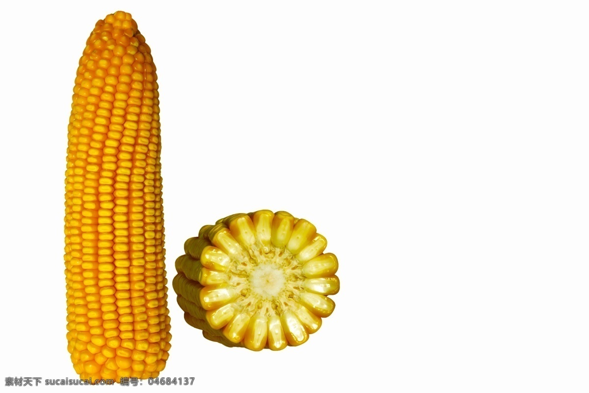 玉米 玉米横截面 玉米抠图